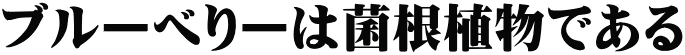 ブルーべりーは菌根植物である