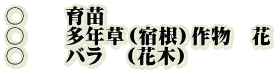 〇 育苗 〇 多年草(宿根)作物 花 〇 バラ (花木)