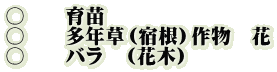 〇　　育苗 〇　　多年草（宿根）作物　花 〇　　バラ　（花木）