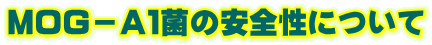 MOG-A1菌の安全性について