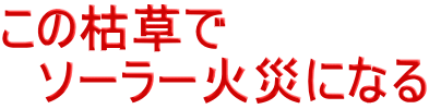 この枯草で 　ソーラー火災になる