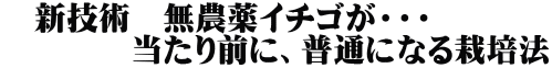 新技術 無農薬イチゴが・・・ 当たり前に、普通になる栽培法