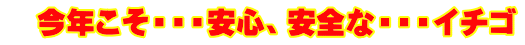　今年こそ・・・安心、安全な・・・イチゴ