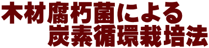 木材腐朽菌による 　　炭素循環栽培法 