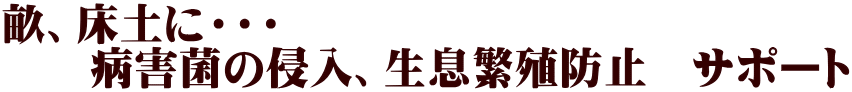 畝、床土に・・・ 　　病害菌の侵入、生息繁殖防止　サポート