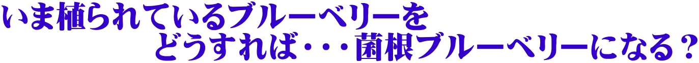 いま植られているブルーベリーを 　　　　　どうすれば・・・菌根ブルーベリーになる？