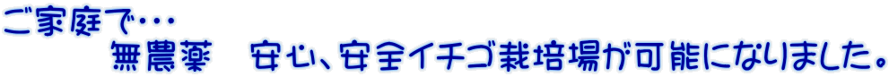 ご家庭で・・・ 　　　無農薬　安心、安全イチゴ栽培場が可能になりました。