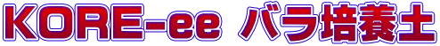 KORE-ee o|{y