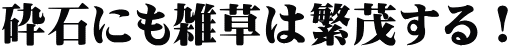 砕石にも雑草は繁茂する！