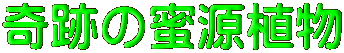 奇跡の蜜源植物