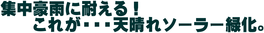 集中豪雨に耐える！ 　　これが・・・天晴れソーラー緑化。