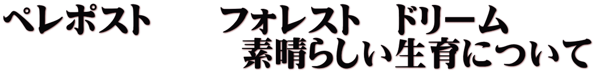 ペレポスト　　フォレスト　ドリーム　　　 　　　　　　　素晴らしい生育について