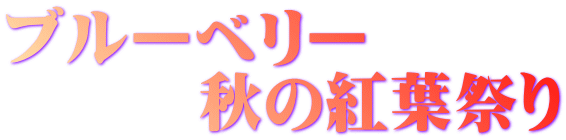 ブルーベリー 　　　秋の紅葉祭り 