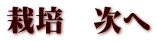 栽培 次へ