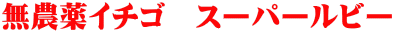 無農薬イチゴ スーパールビー