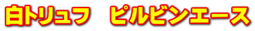 白トリュフ　ピルビンエース