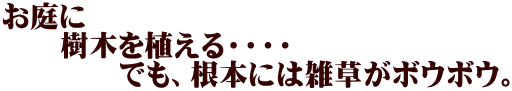 お庭に 　　樹木を植える・・・・ 　　　　でも、根本には雑草がボウボウ。 