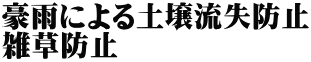 豪雨による土壌流失防止 雑草防止