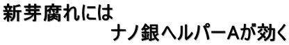 新芽腐れには 　　　　　　　　ナノ銀ヘルパーAが効く