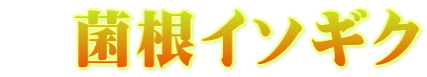 　菌根イソギク