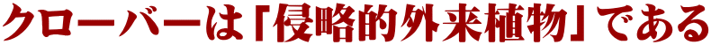 クローバーは「侵略的外来植物」である