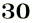 ３０