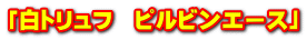 「白トリュフ　ピルビンエース」