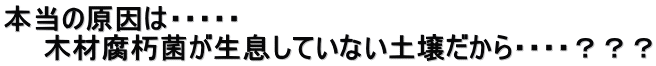 本当の原因は・・・・・ 　　木材腐朽菌が生息していない土壌だから・・・・？？？