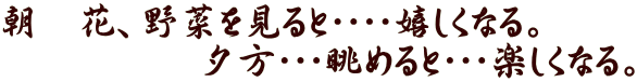 朝　花、野菜を見ると・・・・嬉しくなる。 　　　　　夕方・・・眺めると・・・楽しくなる。