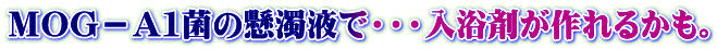 MOG-A1菌の懸濁液で・・・入浴剤が作れるかも。