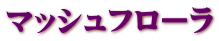 マッシュフローラ