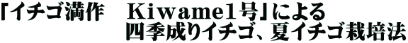 「イチゴ満作 Kiwame1号」による 四季成りイチゴ、夏イチゴ栽培法