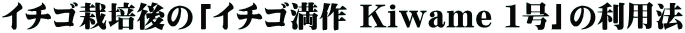 イチゴ栽培後の「イチゴ満作 Kiwame 1号」の利用法