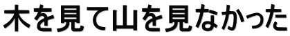 木を見て山を見なかった