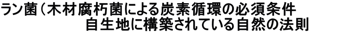 ラン菌（木材腐朽菌による炭素循環の必須条件　　　　　　 　　　　　　　　自生地に構築されている自然の法則 　　