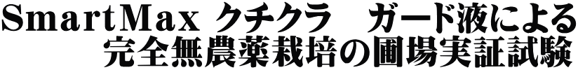 ＳｍａｒｔＭａｘ クチクラ　ガード液による 　　　完全無農薬栽培の圃場実証試験 