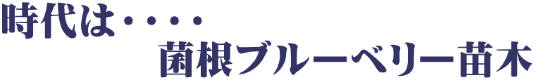 時代は・・・・ 　　　　菌根ブルーベリー苗木