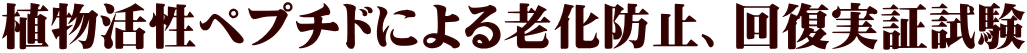 植物活性ペプチドによる老化防止、回復実証試験
