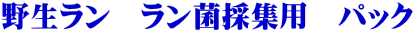 野生ラン ラン菌採集用 パック