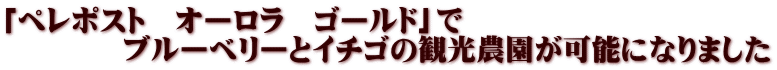 「ペレポスト　オーロラ　ゴールド」で 　　　　ブルーベリーとイチゴの観光農園が可能になりました