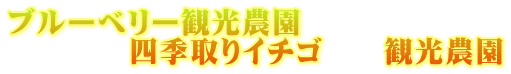 ブルーベリー観光農園 　　　　四季取りイチゴ　　観光農園