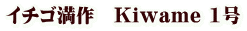 イチゴ満作 Kiwame 1号