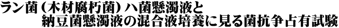 ラン菌（木材腐朽菌）ハ菌懸濁液と 　　　納豆菌懸濁液の混合液培養に見る菌抗争占有試験