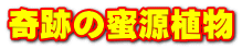 奇跡の蜜源植物