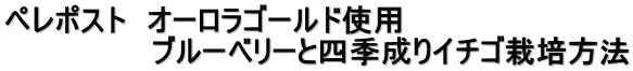 ペレポスト　オーロラゴールド使用　 　　　　　　　ブルーベリーと四季成りイチゴ栽培方法